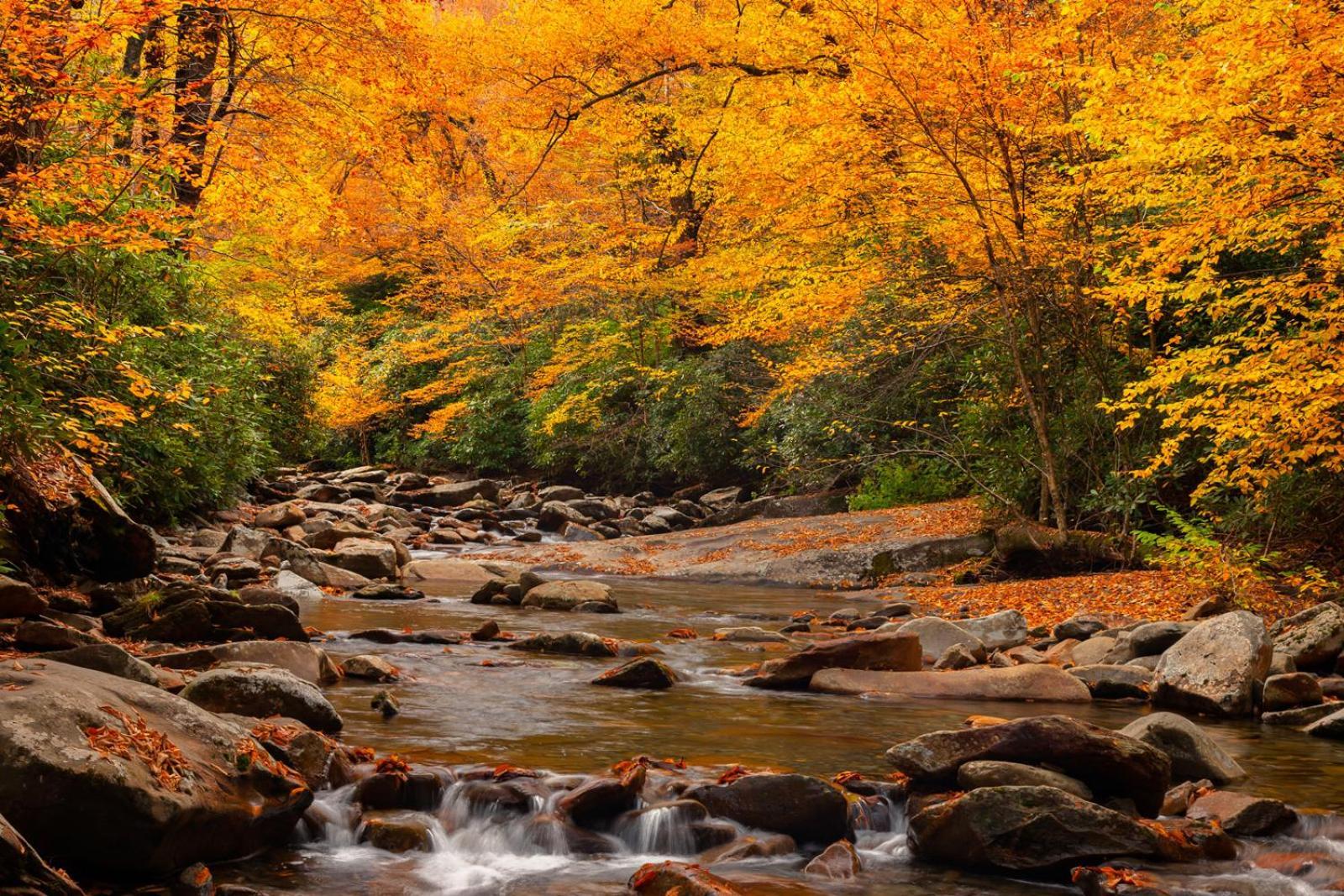 Romantic, Honeymoon Cabin In The Smokies! Gatlinburg Εξωτερικό φωτογραφία
